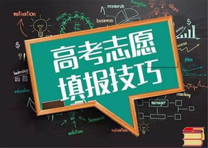 高考書(shū)法藝考生報(bào)考指南 本科分?jǐn)?shù)線、院校代碼與志愿填報(bào)策略